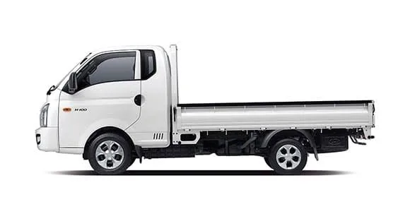 Petit Camion H100